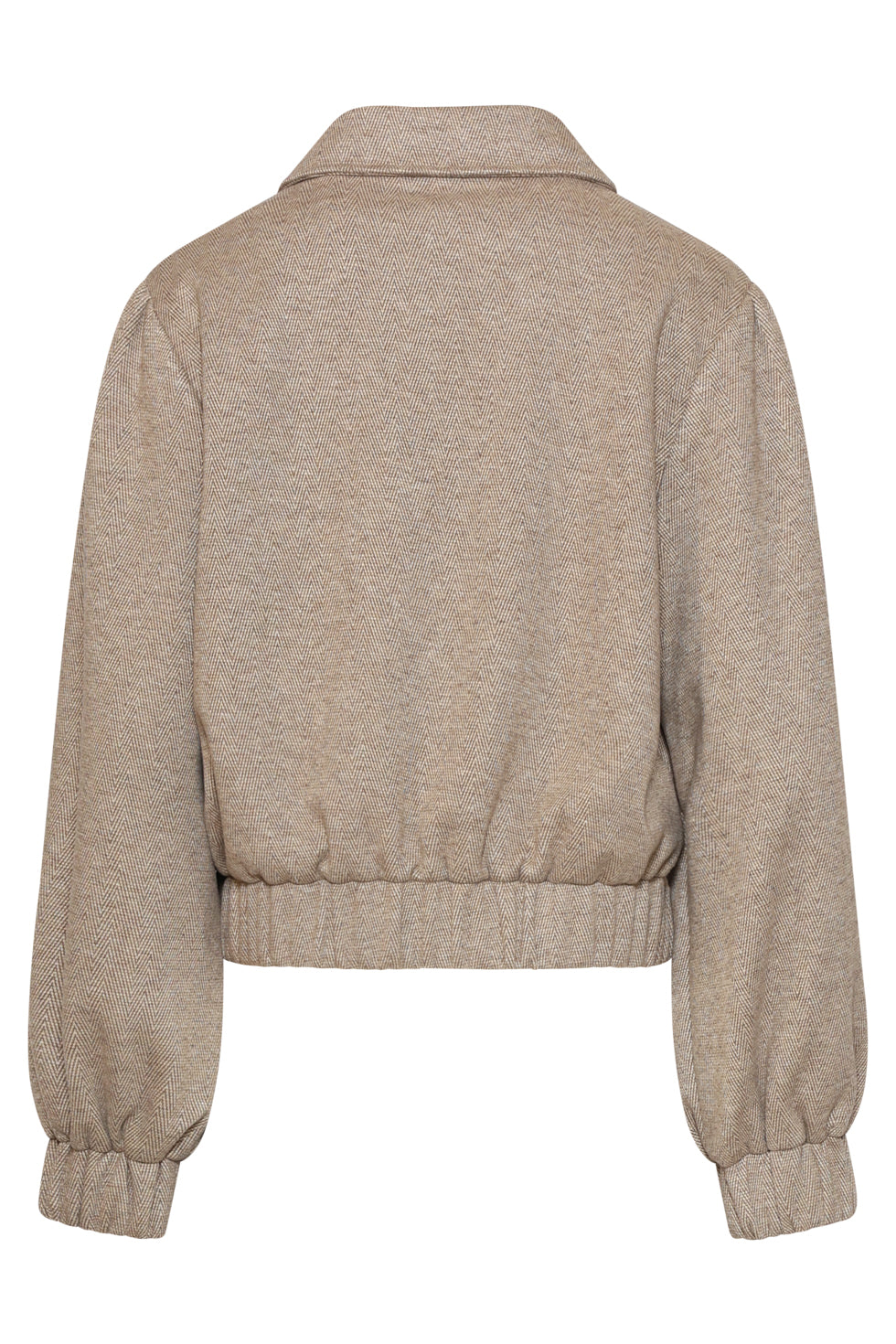 Cazadora Bomber de Espiga Topo
